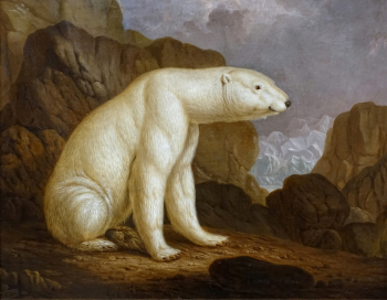 Кристиан Керер. Полярный медведь. Холст, масло. 1820. Гессенский земельный музей.