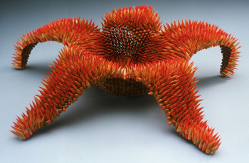 Дженнифер Мэйстр. Морская звезда. Карандаши. 2005. Частное собрание.