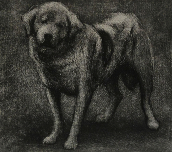 Добров Матвей Алексеевич. Добрая собака. Бумага, офорт. 8,0х9,0. 1925. Соликамский краеведческий музей.