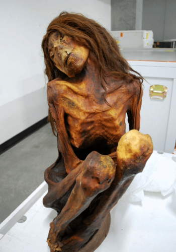 Женская мумия. Региональный музей Липпе в Детмольде. Хизер Гилл-Фрекинг (Heather Gill-Frerking).