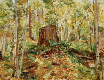Осипова Ксения Николаевна. Пень-великан. Картон, масло. 26,8х35. 1950-е. Музей изобразительных искусств Республики Карелия.