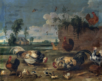 Франс Снейдерс. Бой петухов. Холст, масло. 158х200. 1600-е. Музей Прадо.