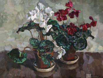 Холодилина Елена Николаевна. Цикламены. Холст, масло. 59,5х79,5. 1962. Государственный музей изобразительных искусств Республики Татарстан.