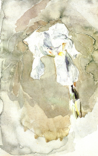 Врубель Михаил Александрович. Белый ирис. Бумага, акварель. 24х16. 1886-1887. Киевская картинная галерея.