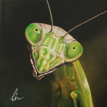 Синди Чинн. Богомол. Холст, акрил. 2010. Частная коллекция.