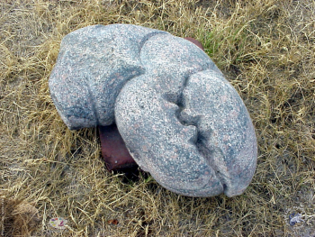 Клешня
