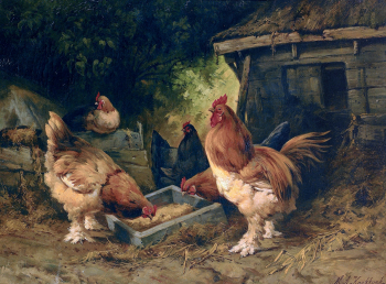 Маринус Адриан Куккук Старший. В курятнике. Холст, масло. 58х75,5. 1800-е. Частная коллекция.