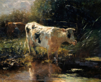 Виллем Марис. Корова у края рва. Холст, масло. 65х81. 1885. Рейксмюсеум.