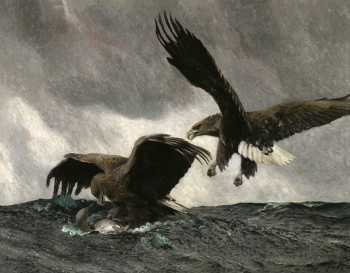 Бруно Лильефорс. Морские орлы. Холст, масло. 182х240. 1897. Национальный музей Швеции.