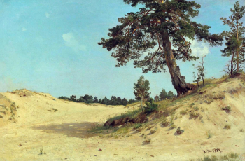 Шишкин Иван Иванович. Сосна в песках. Холст, масло. 69,5х105. 1884. Рыбинский государственный историко-архитектурный и художественный музей-заповедник.