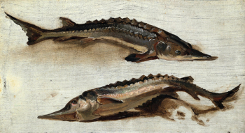 Гердт Хардорф. Два осетра. Холст, масло. 1795. Гамбургский кунстхалле.