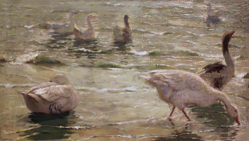 Блонская Серафима Иасоновна. Гуси. Холст, масло. 64х111,5. 1908. Таганрогский художественный музей.