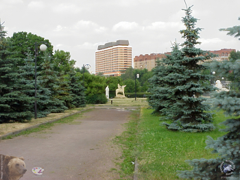 Зелёные насаждения в Музеоне. Фотограф Марина Роз.