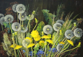 Соколова Сидония Дмитриевна. Одуванчики. Холст, масло. 35х50. 2010. Унечская картинная галерея.
