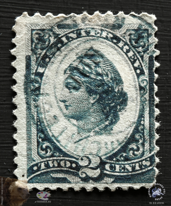 Непочтовая марка `U.S. Inter. Rev.` 1877. Неизвестный фотограф.