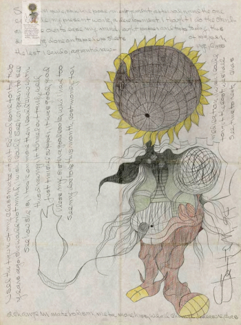 Чарльз (Стеффен) Штеффен. Обнажённый подсолнух. Бумага, рисунок. 1994. Частная коллекция.