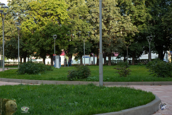 Даниловская площадь. Газоны и кустики. Фотограф Марина Роз.