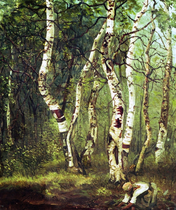 Волков Ефим Ефимович. Старые берёзы. Холст, масло. 1880-е. Частная коллекция.