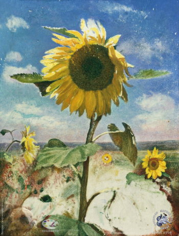 Пильщиков Николай Иванович. Подсолнух. Картон, масло. 40х30. 1980. Собрание семьи художника.