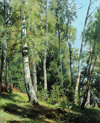 Шишкин Иван Иванович. Берёзовая роща. Холст, масло. 105х69. 1896. Ярославский художественный музей.