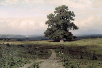 Шишкин Иван Иванович. Среди долины ровныя... Холст, масло. 136х203. 1883. Киевский музей русского искусства.