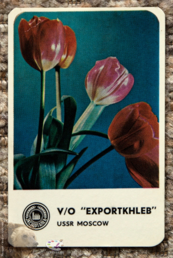 Карманный календарь `V/O `Exportkhleb` USSR Moscow` (Экспортхлеб). 1969. Неизвестный фотограф.
