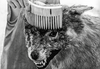Юфит Евгений Георгиевич. Фрагмент из фильма `Серебряные головы`. 1998.