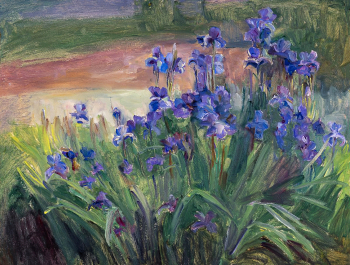 Кабанова Галина Ивановна. Ирисы. Картон, масло. 36,2х47,8. 1970-е. Дальневосточный художественный музей.