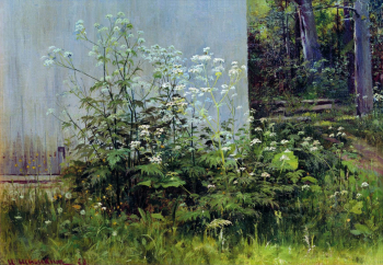 Шишкин Иван Иванович. Цветы у забора. Холст, масло. 38х54. 1880-е. Госудаpственный Владимиpо-Суздальский истоpико-аpхитектуpный и художественный музей-заповедник.