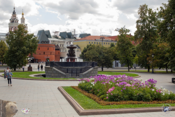 Цветочная клумба у фонтана Витали. Фотограф Марина Роз.
