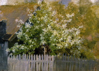 Левитан Исаак Ильич. Черёмуха. Холст на картоне, масло. 22х31. 1880-е. Государственный Русский музей.
