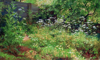 Шишкин Иван Иванович. Сныть-трава. Парголово. Холст на картоне, масло. 35х58. 1884-1885. Государственный Русский музей.