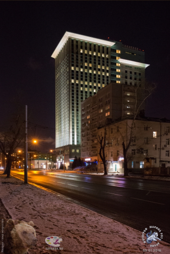 Роснефть в Москве на Дубининской улице. Фотограф Марина Роз.