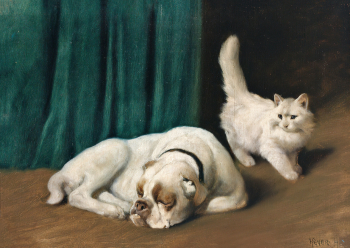 Артур Хейер. Бульдог и персидский кот. Холст, масло. 50х70. До 1931 года. Частная коллекция.