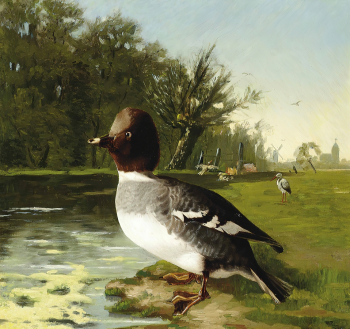 Карл Фридрих Шульц. Дикая утка. Холст, масло. 49,3х53. 1860. Частная коллекция.
