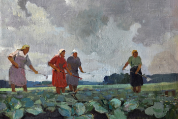 Скрипков Яков Никифорович. На капустном поле. Холст, масло. 39х48. 1949. Михайловский многофункциональный культурный центр.