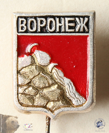 Значок `Воронеж`. Городской герб