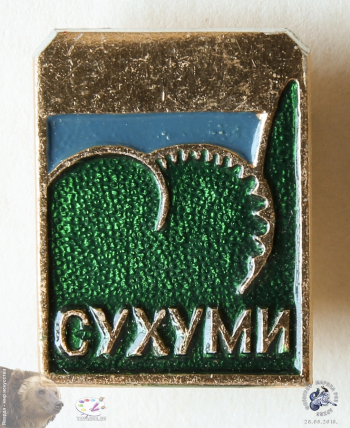 Значок `Сухуми`