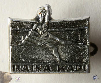 Значок `Raiņa kapi`. Кладбище Райниса