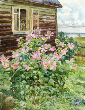 Мальва