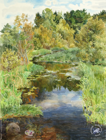 Речка осенью