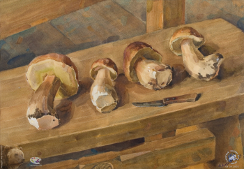 Боровики