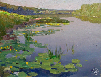 Простяков Алексей Семёнович. Кувшинки на Оке. Холст, масло. 2001. Собрание семьи художника.