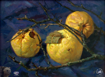 Простяков Алексей Семенович. Айва. Холст, масло. 30х40. 2004. Собрание семьи художника.