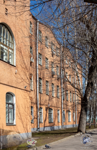 Адрес приюта: Москва, Лаврушинский переулок, дом 38, строение 2. Фотограф Марина Роз.