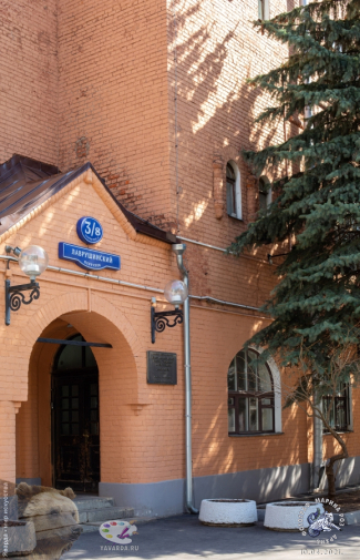 Архитектура здания приюта. Фотограф Марина Роз.