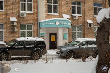 Детский клуб `Ричард Львиное Сердце` в Партийном переулке. Фотограф Марина Роз.