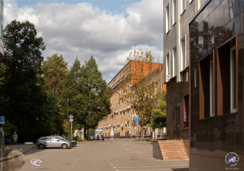 Партийный переулок. Вид со стороны 3-го Павловского переулка. Фотограф Марина Роз.