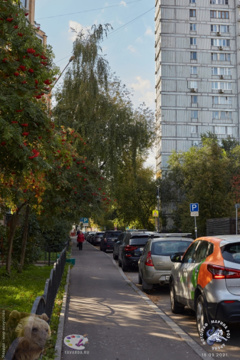 Тротуар Малого Строченовского переулка. Фотограф Марина Роз.