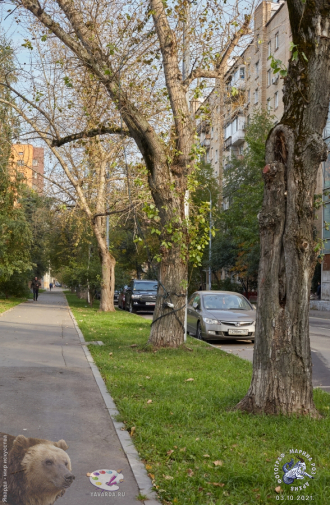 Вид на 2-ю Рощинскую улицу с 4-го Рощинского проезда. Фотограф Марина Роз.